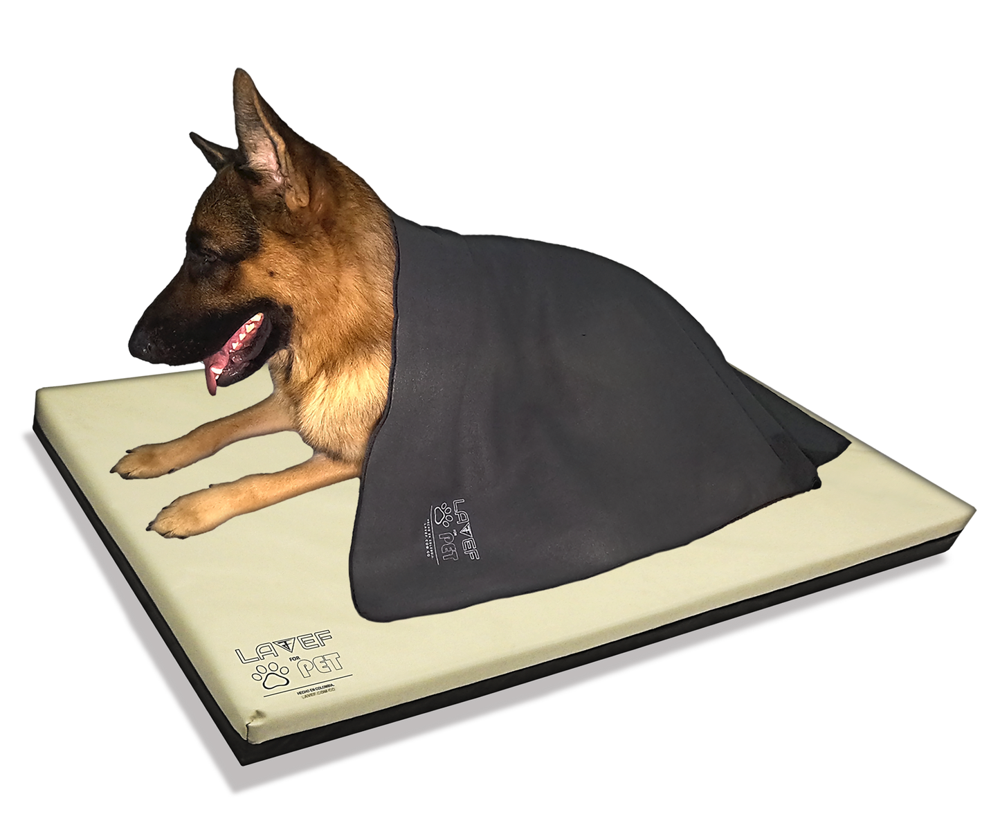 Cama Colchoneta Para Mascota 100x67cm Impermeable + Cobija