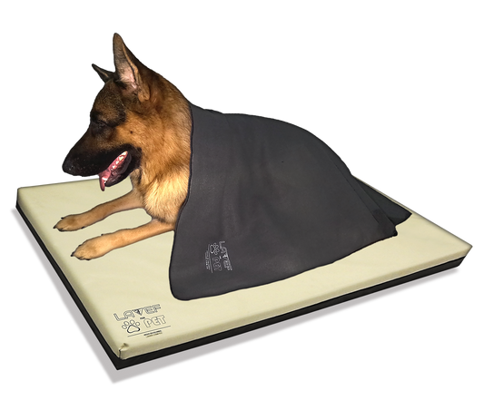 Cama Colchoneta Para Mascota 100x67cm Impermeable + Cobija