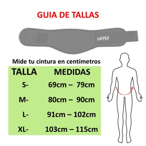 Diapositiva15 Cinturon Gimnasio Levantamiento De Pesas Cinturón Lastre