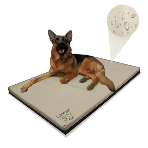 Cama Colchoneta Para Mascota Lavef 100x67cm Impermeable Cama Perro Color Crema