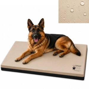 1 cama colchoneta para mascota mediana 100x67