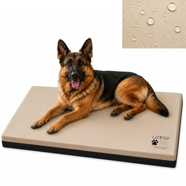 1 cama colchoneta para mascota mediana 100x67