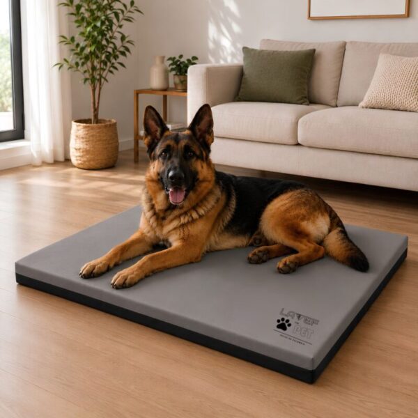 12 cama colchoneta para mascota mediana 100x67